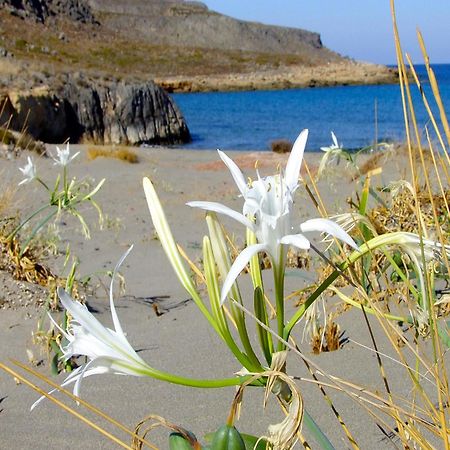 Olive Coast Suites Палекастрон Екстер'єр фото