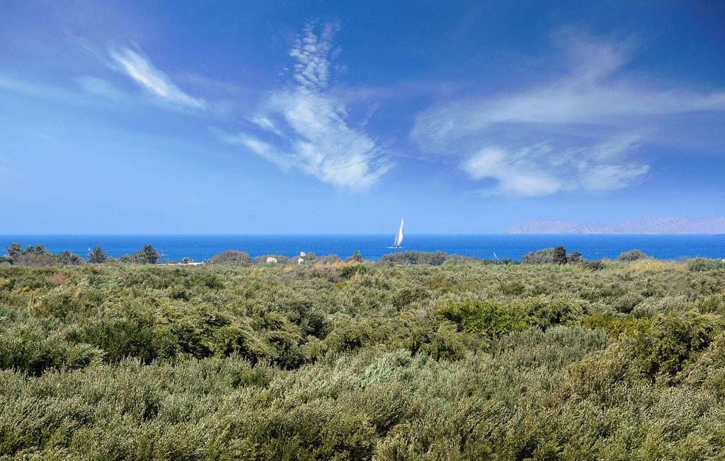Olive Coast Suites Палекастрон Екстер'єр фото